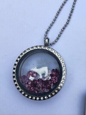 Origami OWL LARGE LIVING Locket Necklace, Bear, Snowflake Insert and Tourmaline